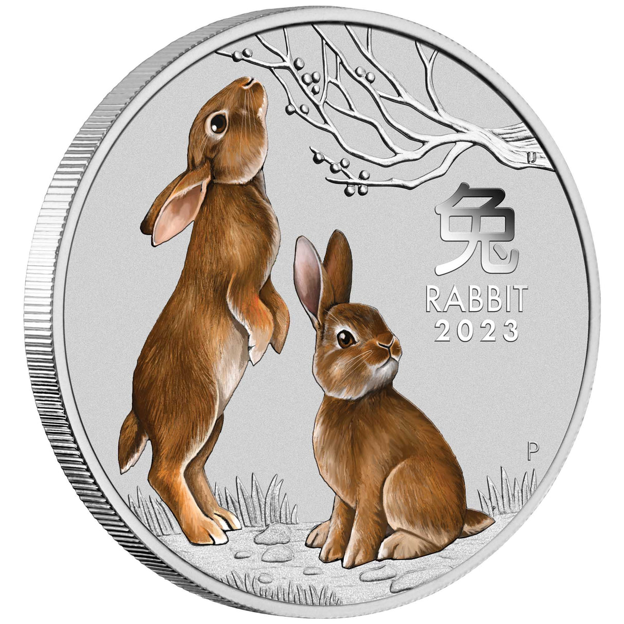 Australian Lunar Series III 2023 Year of the Rabbit 1/4oz Silver Coloured Coin in Card - Sydney Money Expo 2022