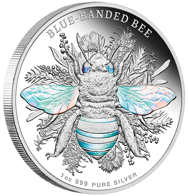 2025 1oz Australian Native Bees - Blue-banded Bee Silver Proof Hologram Coin