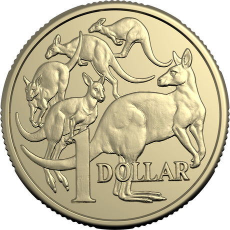 HM King Charles III 2025 $1 Non-Premium Coin Roll (With Coin Tube)