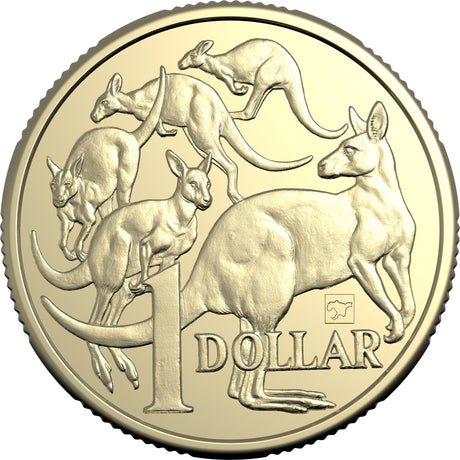 Melbourne Money Expo 2025 - 2025 $1 Mob of Roos with Melbourne Map Privy Mark