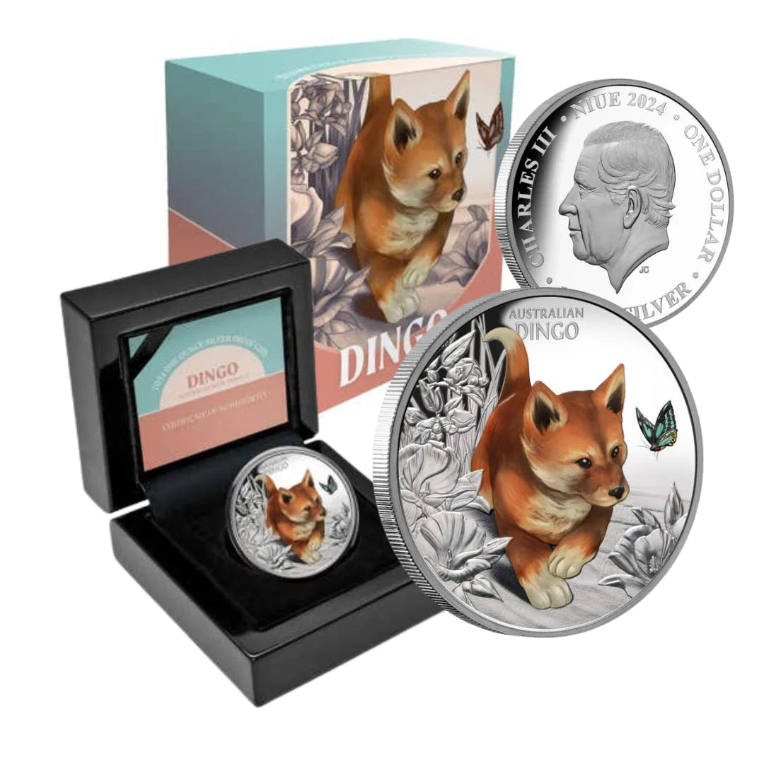 2024 1oz Baby Dingo Coloured Silver Proof Coin