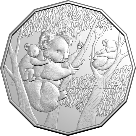 2026 50c Koala Series Uncirculated Coin Card