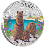 Quokka 2025 1oz Silver Coloured Coin