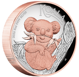 2026 5oz Australian Koala Silver Proof High Relief Gilded Coin