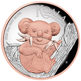 2026 5oz Australian Koala Silver Proof High Relief Gilded Coin