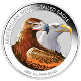 2026 1oz Australian Wedge-tailed Eagle Silver Coloured Coin in Card