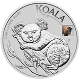 Australian Koala with Bison Privy 2025 1oz Silver Coloured Coin - ANA World's Fair of Money Special