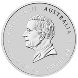 Quokka 2025 1oz Silver Coloured Coin