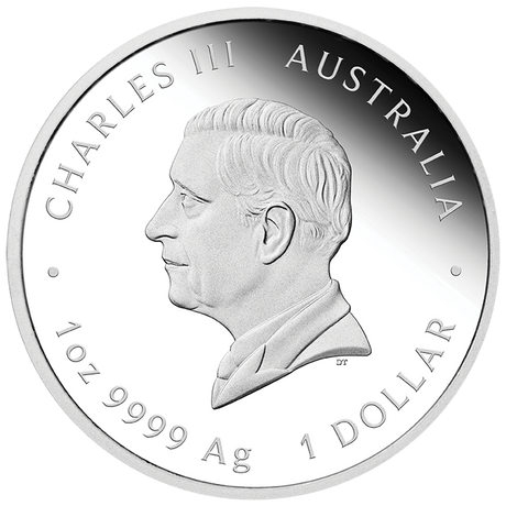 2026 1oz One Love Silver Proof Coloured Coin