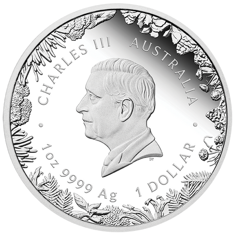 2026 1oz Wonders of Australia The Outback Silver Proof Coin