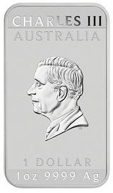 2026 1oz Lunar Horse Silver Bullion Coloured Minted Rectangular Coin Card