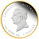 2026 1oz Australia's First Gold Rush 175th Anniversary Silver Proof Gilded Coin