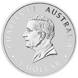 Australian Koala with Bison Privy 2025 1oz Silver Coloured Coin - ANA World's Fair of Money Special