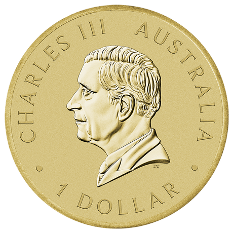 2025 $1 Australian Citizenship Coin in Card
