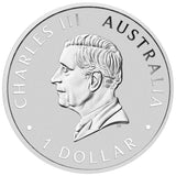 Australian Swan 2025 1oz Silver Coloured Coin