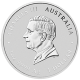Melbourne Money Expo 2025 - 2025 Year of the Snake 1oz Silver Coloured Coin in Card