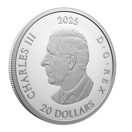 2025 Dear Santa $20 1oz Fine Silver Coin
