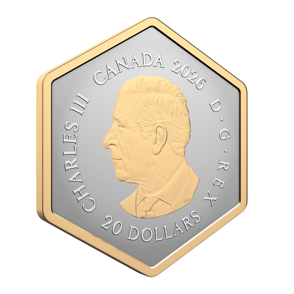 2026 $20 Nature's Delight The Spider Fine Silver Coin