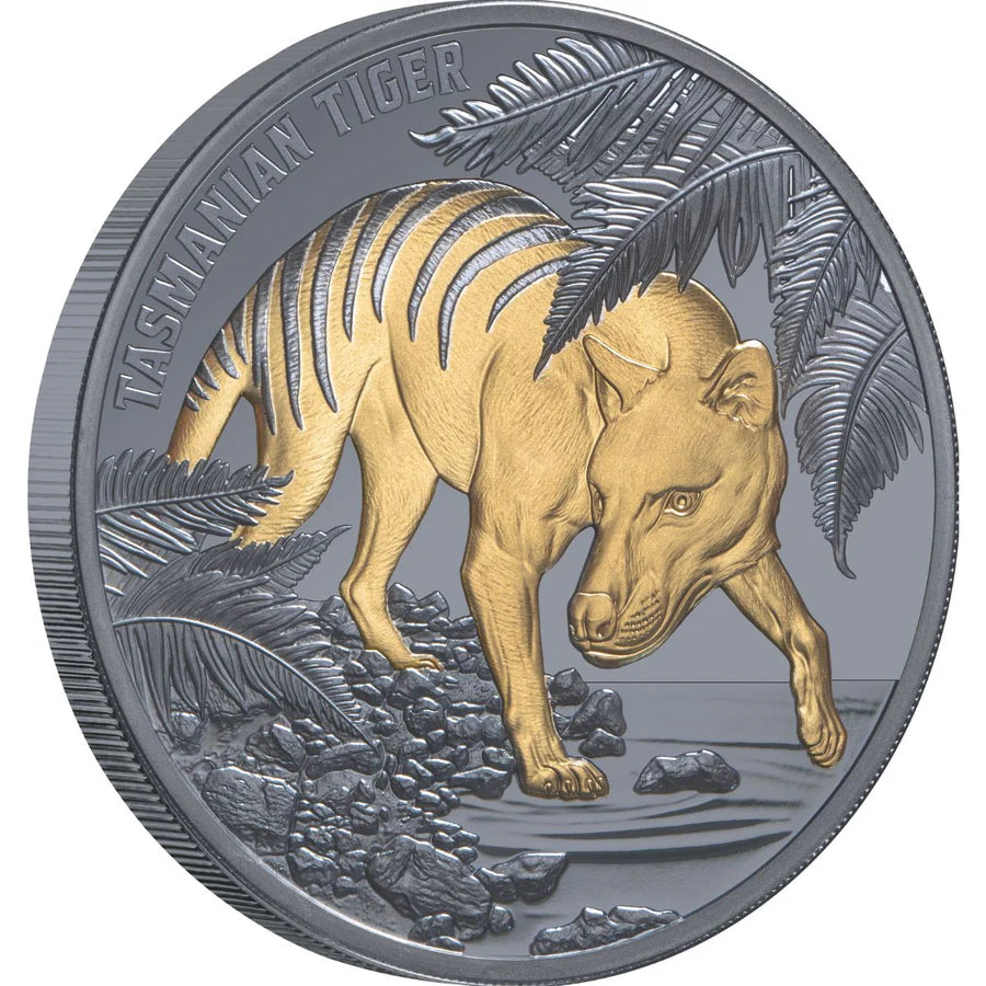 2026 1oz Tasmanian Tiger Gold-plated Silver Black Proof Coin