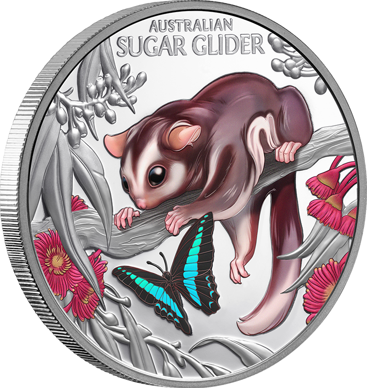 2026 1oz Baby Sugar Glider Coloured Silver Proof Coin