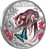 2026 1oz Baby Sugar Glider Coloured Silver Proof Coin