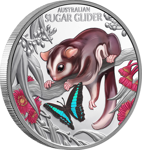 2026 1oz Baby Sugar Glider Coloured Silver Proof Coin