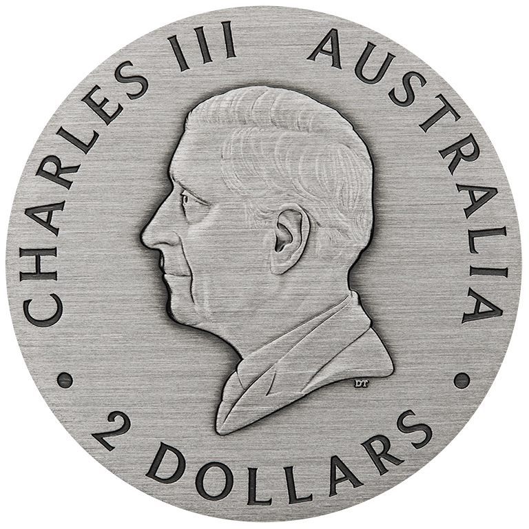 Australian Honey Bee 2025 2oz Silver Antiqued Coloured Coin