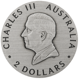 Australian Honey Bee 2025 2oz Silver Antiqued Coloured Coin