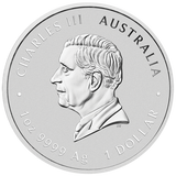 2026 1oz ANDA Melbourne Money Expo Year of the Horse 1oz Silver Coloured Coin in Card