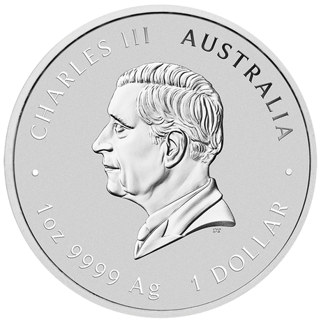 2026 1oz ANDA Melbourne Money Expo Year of the Horse 1oz Silver Coloured Coin in Card