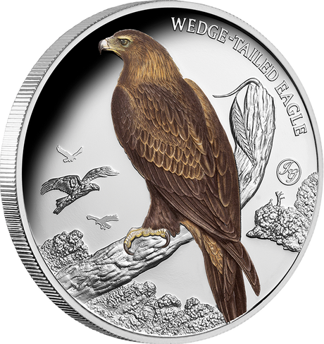 Birds of Australia - Wedge-Tailed Eagle 2025 1oz Silver Coloured Proof Coin
